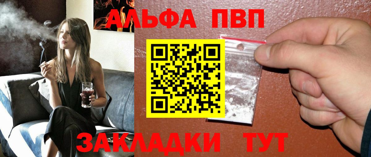 Альфа ПВП СК Владикавказ