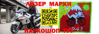 гидра Вышний Волочёк
