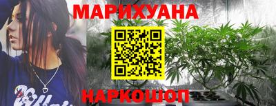 индика Вязьма