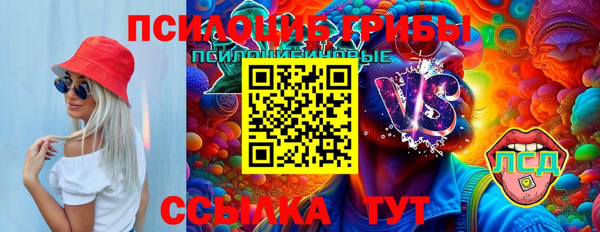 Галлюциногенные грибы ЛСД Владикавказ