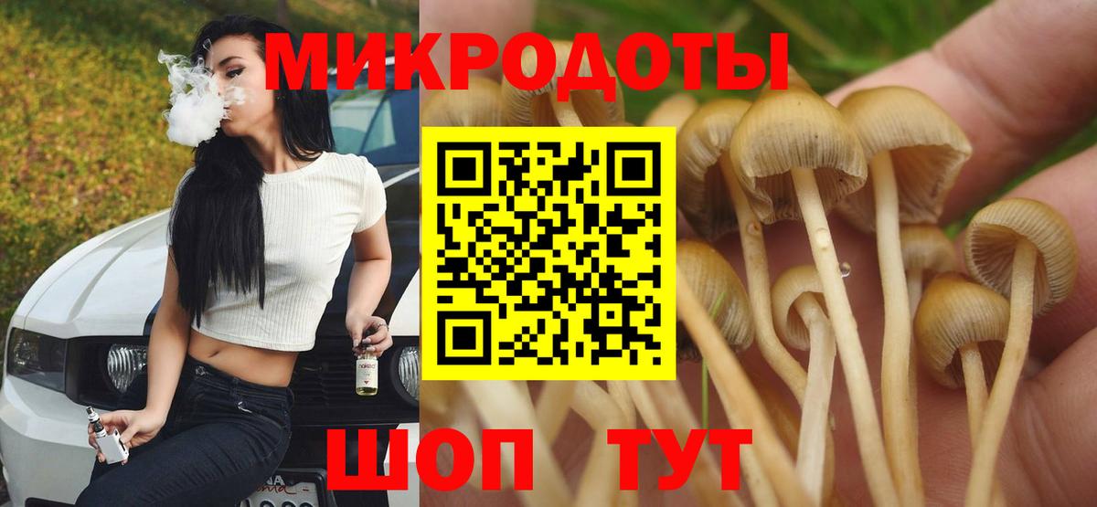 Галлюциногенные грибы Magic Shrooms  Вход с VPN  Владикавказ  Галлюциногенные грибы ЛСД 
