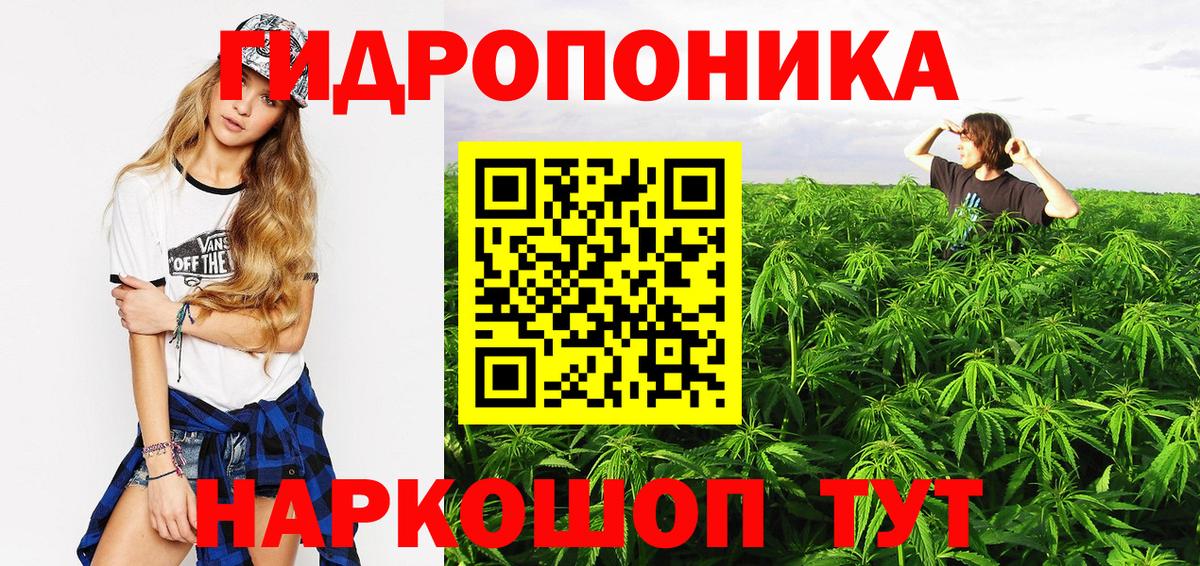 Владикавказ  Шишки марихуана LSD WEED  Шишки марихуана марихуана  Конопля сатива  Вход с VPN 